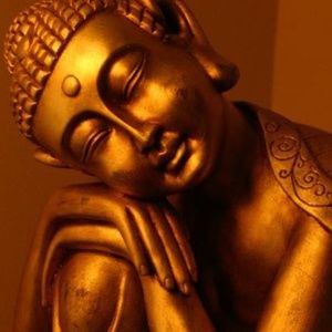 Meet your Posher, Sires budget friendly